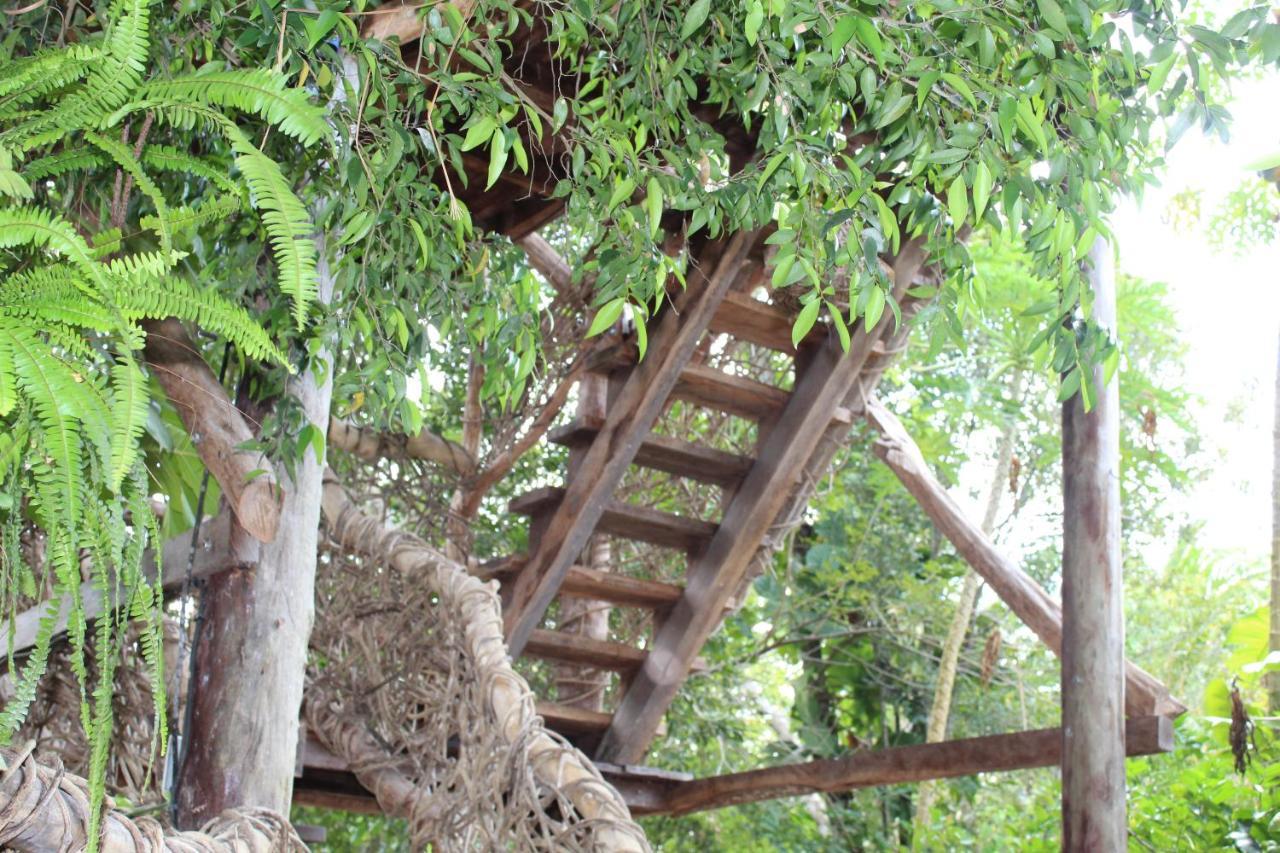 Cabanas La Alborada Villa Tulum Eksteriør billede