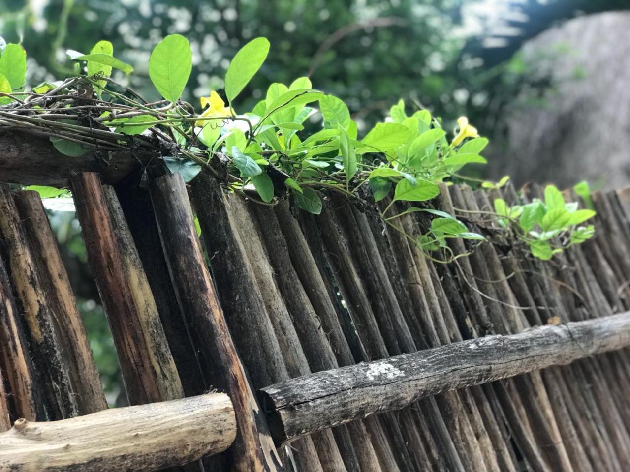 Cabanas La Alborada Villa Tulum Eksteriør billede